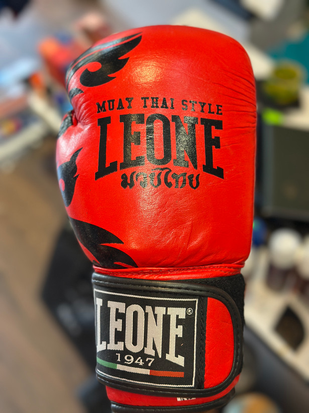 دستکش بوکس چرمی LEONE سایز ۱۲ کد۱۰۷۱